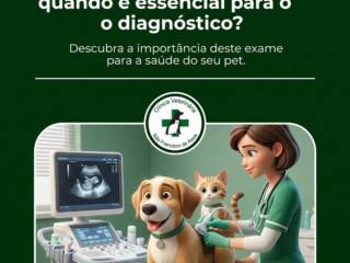 Ultrassonografia veterinária: quando é essencial para o diagnóstico?