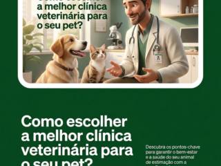 Como escolher a melhor clínica veterinária para o seu pet?