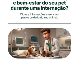 Como garantir a segurança e bem-estar do seu pet durante uma internação?
