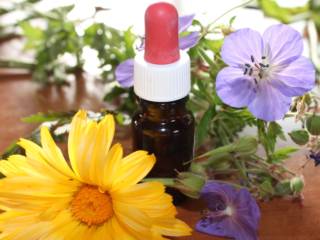 Homeopatia: o que é, como funciona e opções de remédios