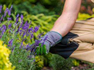 Como o Paisagismo Residencial Pode Valorizar Seu Imóvel
