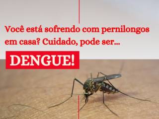Você sabe a diferença entre o pernilongo e o mosquito da dengue