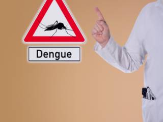 É possível acabar com a dengue