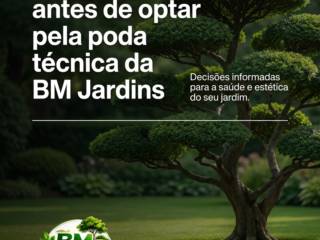 O que considerar antes de optar pela poda técnica da BM Jardins