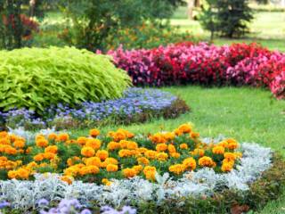 Jardins planejados em Jaboticabal: beleza e praticidade