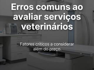 Erros comuns ao avaliar serviços veterinários