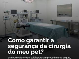 Como garantir a segurança da cirurgia do meu pet?