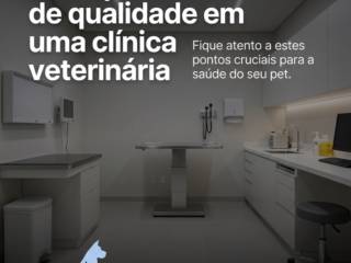 Principais sinais de qualidade em uma clínica veterinária