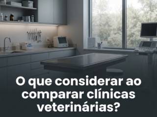 O que considerar ao comparar clínicas veterinárias?