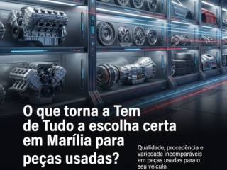 O que torna a Tem de Tudo a escolha certa em Marília para peças usadas?
