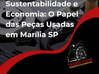 Sustentabilidade e Economia: O Papel das Peças Usadas em Marília SP