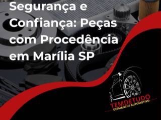 Segurança e Confiança: Peças com Procedência em Marília SP