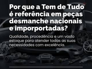 Por que a Tem de Tudo é referência em peças de desmanche nacionais e importadas?