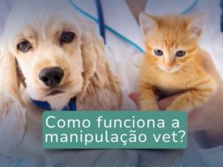 Como funciona a manipulação vet?