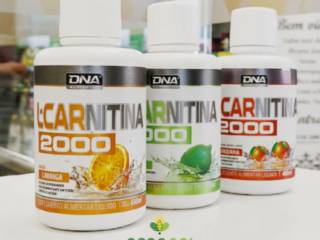 Para que serve a L-Carnitina?
