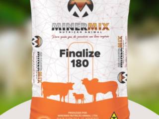 Finalize 180: nutrição eficiente para bovinos em acabamento