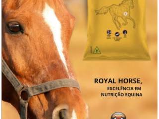 Você já conhece nossa ração especial Royal Horse?