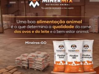 Alimentar bem é lucrar melhor: o básico que dá resultado