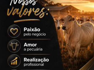 Nossos princípios começam antes do produto chegar até você