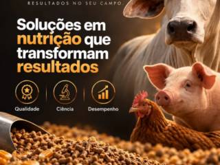 Soluções em nutrição animal que transformam os resultados no campo