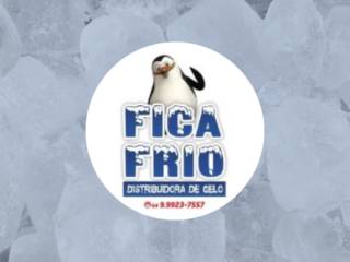 Fica Frio: A Sua Distribuidora de Gelo de Confiança em Mineiros!