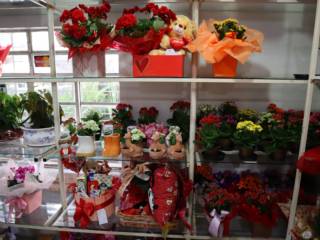 Como escolher o presente ideal?