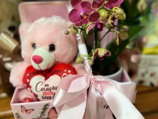 Cestas que encantam e surpreendem