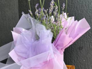 Lavanda natural: beleza, perfume e bem-estar para o seu ambiente