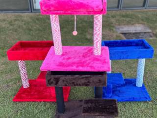 Adeus, sofá arranhado! Conheça os arranhadores ideais para seu pet