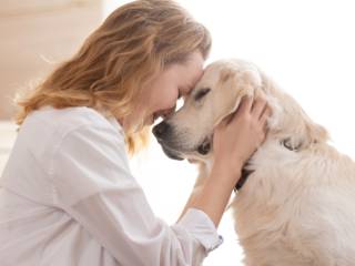 Quem ama cuida da alimentação do seu pet