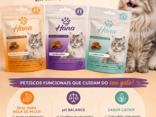 Uma forma simples de agradar seu gato: Os melhores petiscos estão na Ração & Cia 