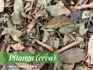 Folha de Pitanga: Uma Opção Diferente para Variar seus Chás