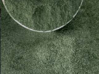 Spirulina: o pequeno ingrediente que pode transformar sua rotina