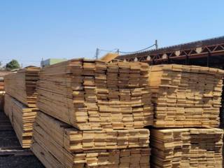  Madeira de Pinus: Versatilidade, Sustentabilidade e Custo-Benefício para Seu Projeto