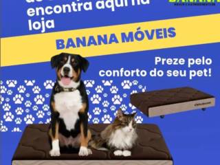 Venha já para o Banana Móveis em Mineiros e garanta as mais confortáveis caminhas para o seu pet!