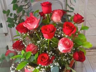 Flores que são o presente perfeito