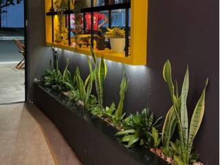 Decoração ornamental para empresas com elegância e vida