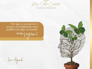 Por que se eu não for a sessão meu analista não liga ou manda mensagem?