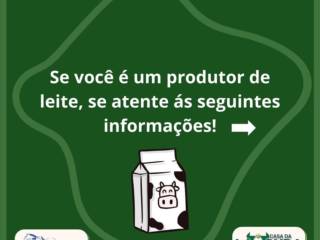 Se você é produtor de leite, fique atento as seguintes informações: