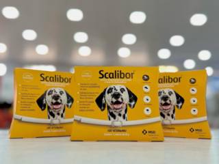 Você já conhece a coleira antiparasitária Scalibur?