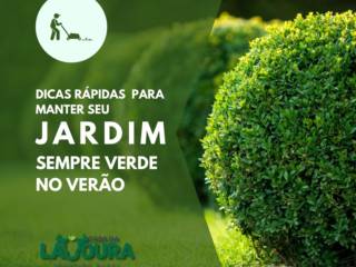 Confira as Dicas da Casa da Lavoura em Mineiros para um Jardim Sempre Verde no Verão!
