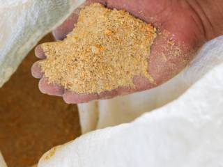 Alimentação ideal para suas aves