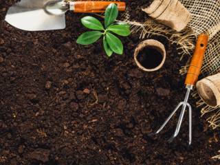Tudo para um jardim bonito e bem cuidado