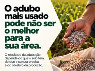 Antes de escolher o adubo, é preciso entender o que a sua área realmente precisa.