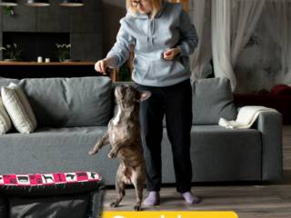 Caminhas Pet que São Puro Amor