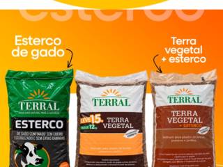 Mundo das Utilidades em Mineiros: mãos na terra e jardim bonito