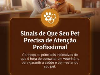Sinais de Que Seu Pet Precisa de Atenção Profissional