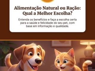 Alimentação Natural ou Ração: Qual a Melhor Escolha?