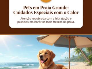 Pets em Praia Grande: Cuidados Especiais com o Calor