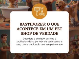 Bastidores: O Que Acontece em um Pet Shop de Verdade